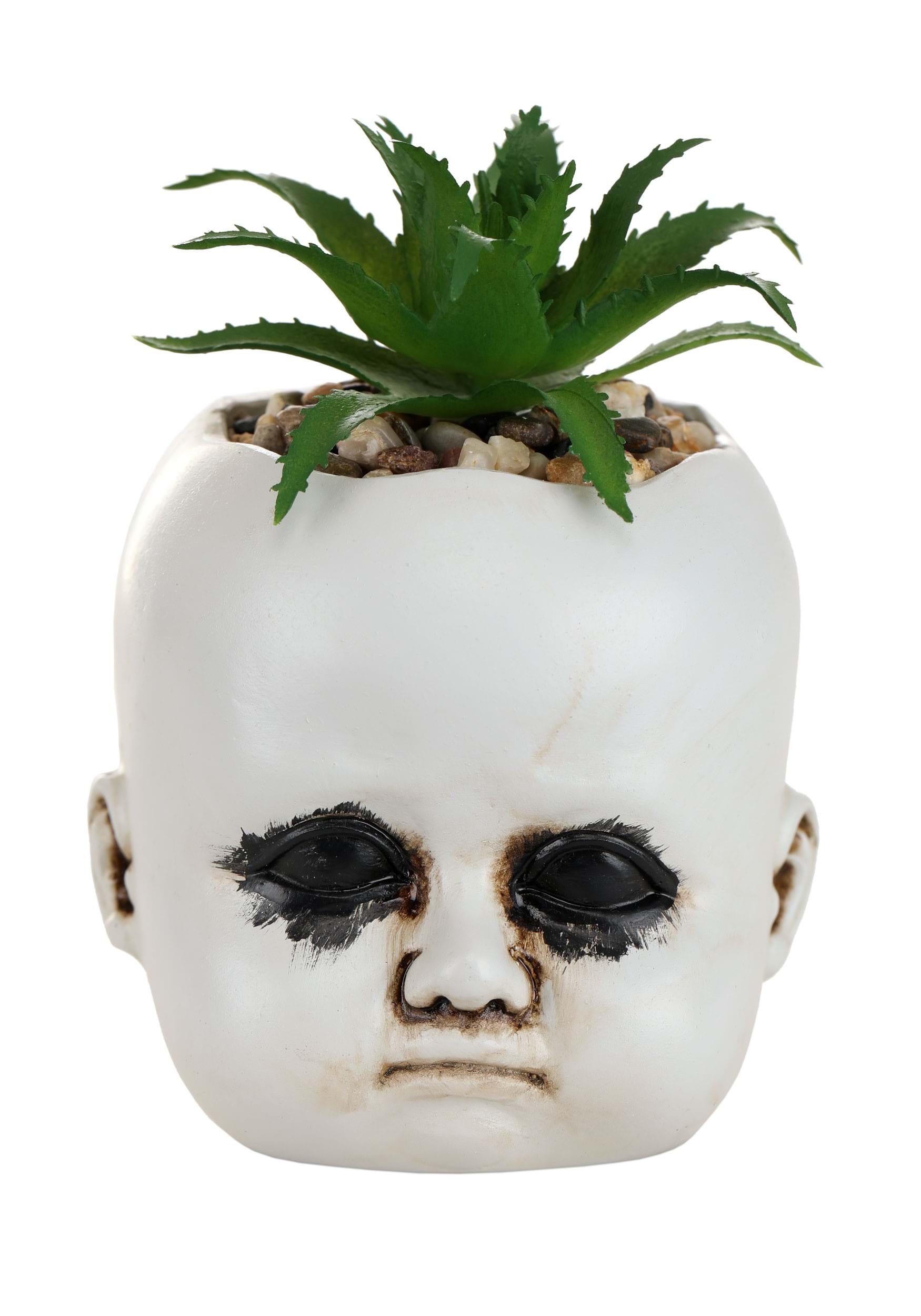 Distressed Doll Succulent