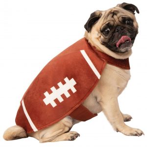 Dog Costume Touchdown Football
