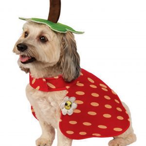Dog Costume Yummy Strawberry