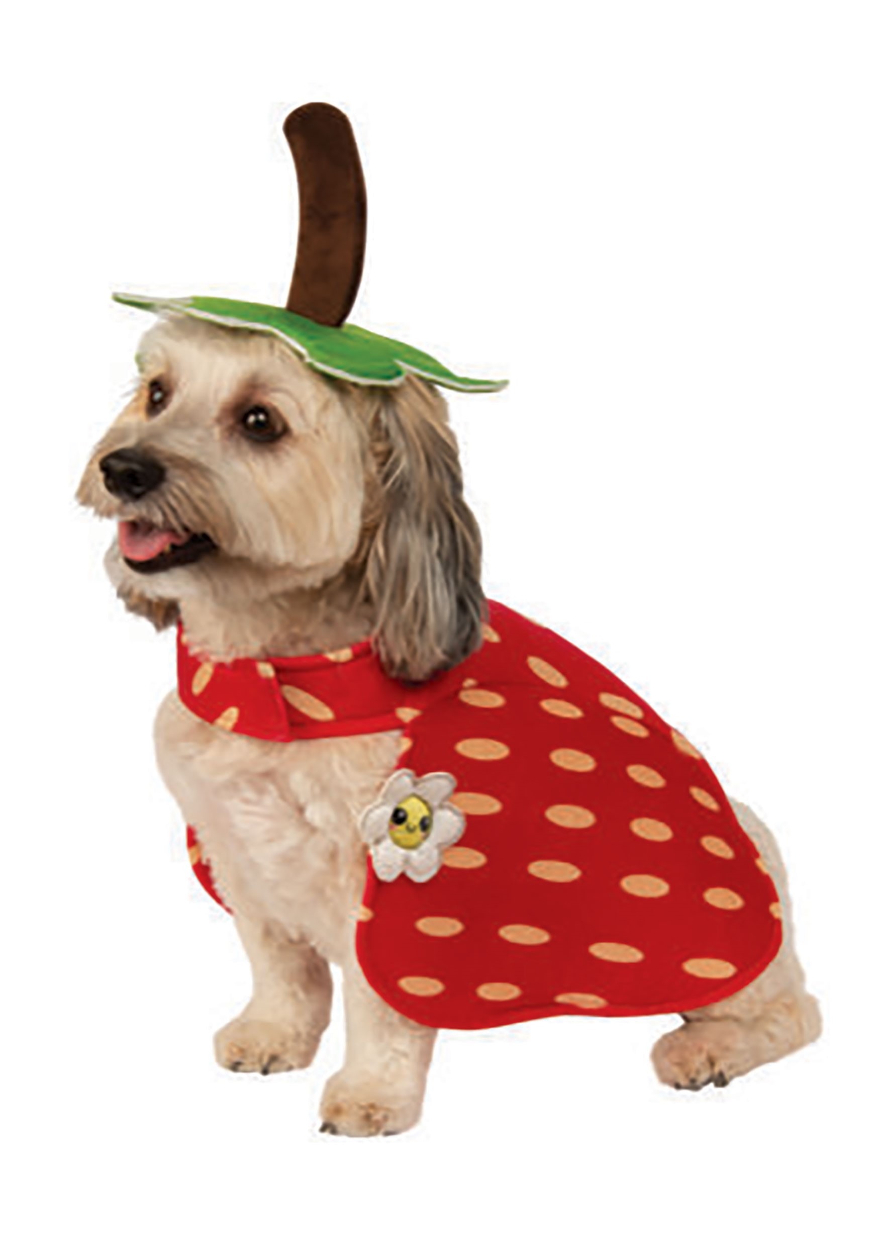 Dog Costume Yummy Strawberry