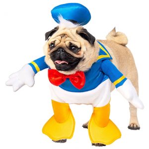 Dog Donald Duck Costume