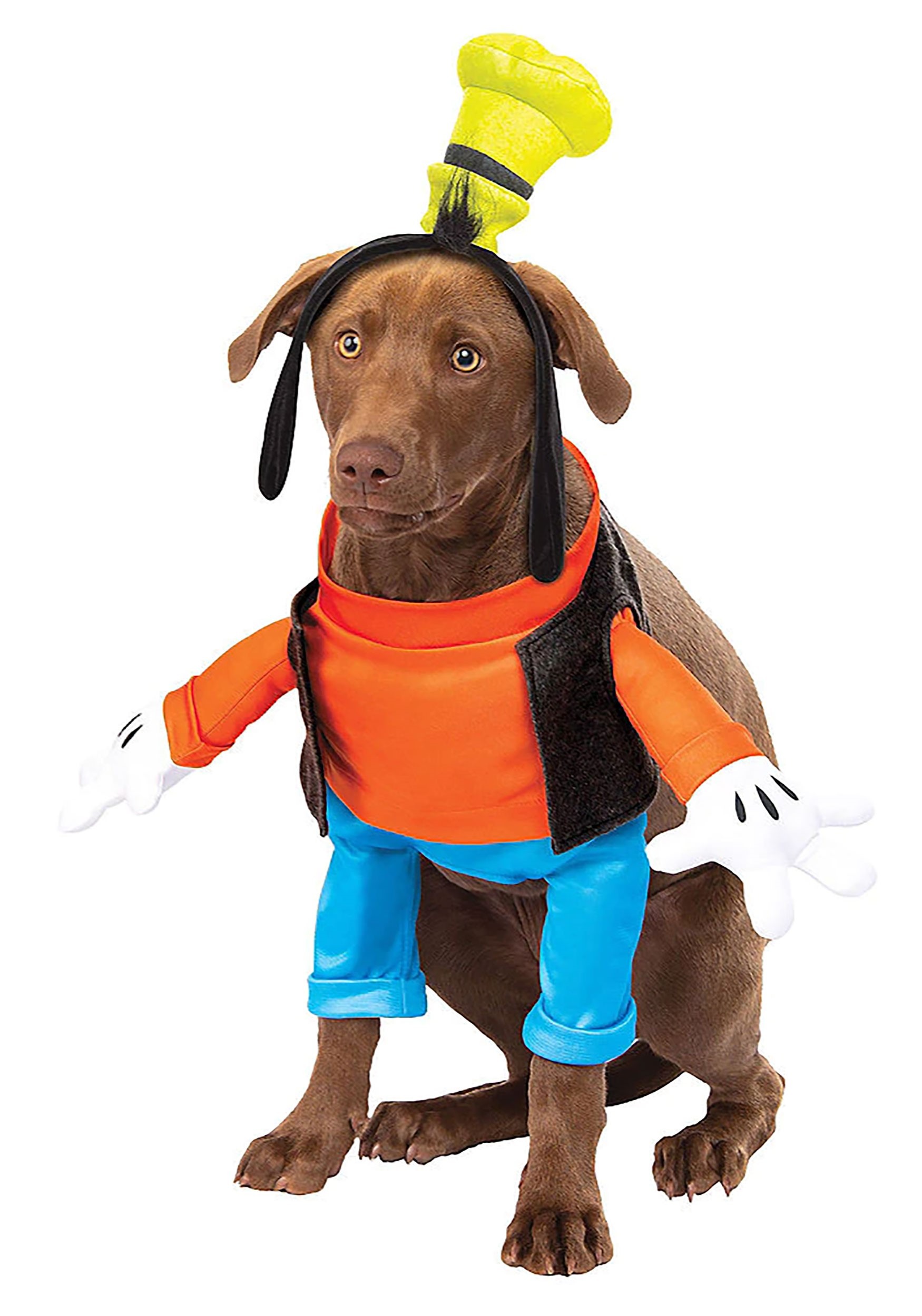 Dog Goofy Costume