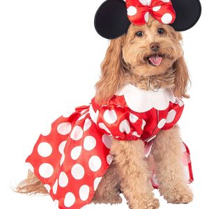 Dog Minnie Mouse Costume