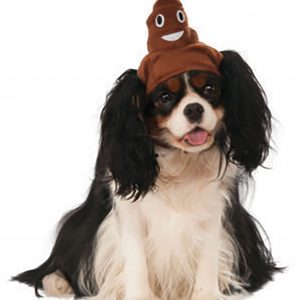 Dog Poop Emoji Costume Accessory