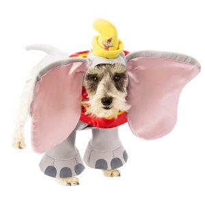Dumbo Dog Costume