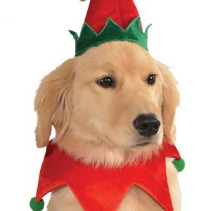Elf Dog Costume Kit