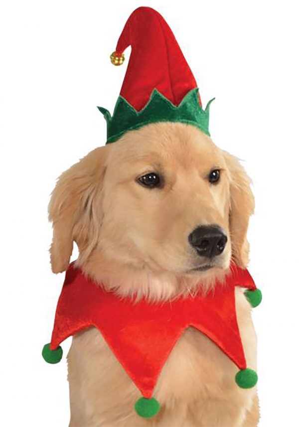 Elf Dog Costume Kit