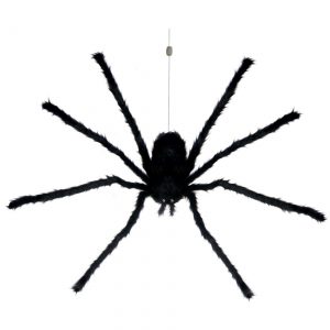 Floating Dropping Spider