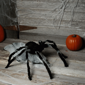 Giant 36" Jumping Spider Animated Halloween Decoration