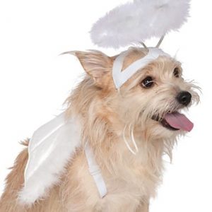 Good Dog Angel Costume