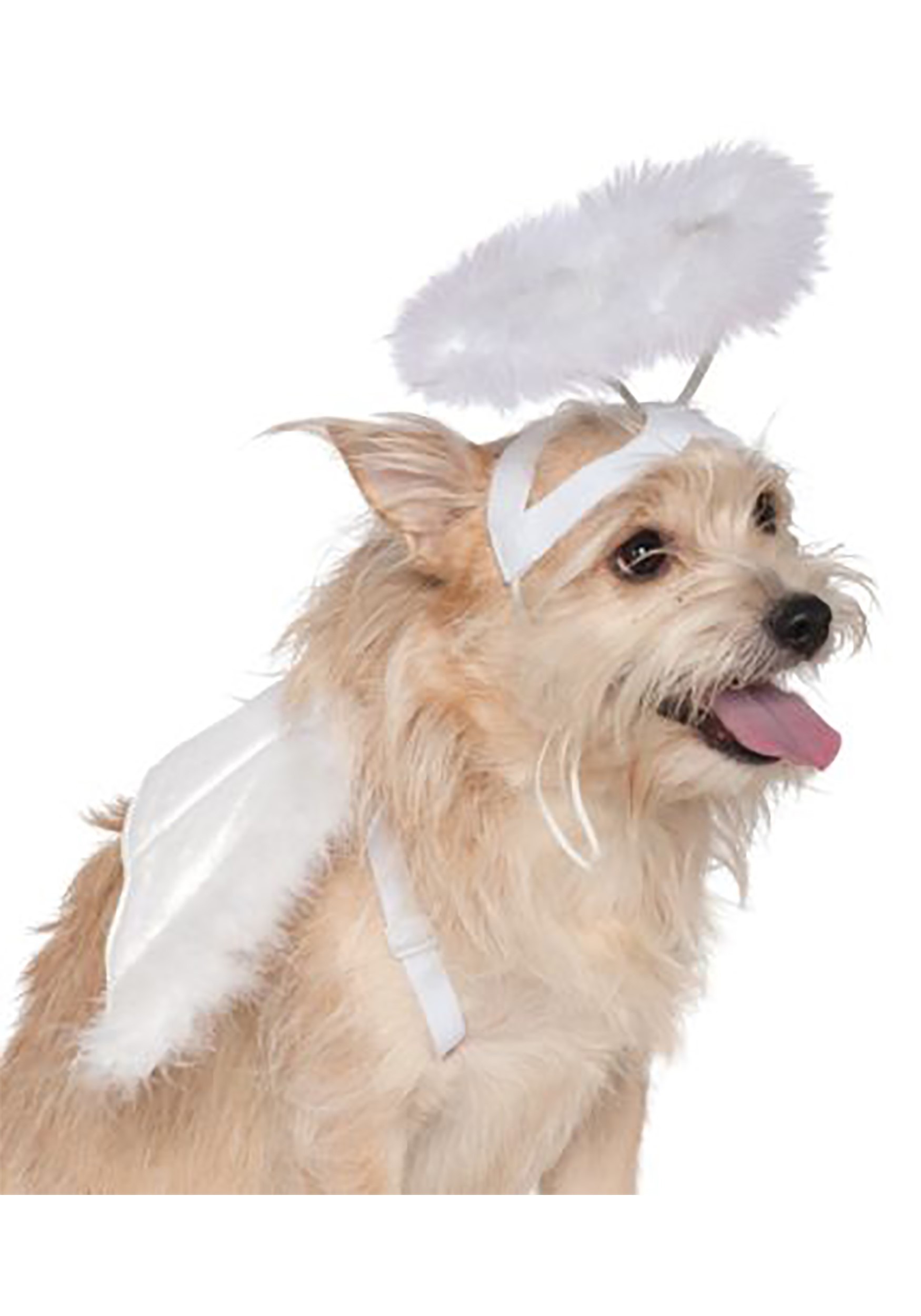 Good Dog Angel Costume