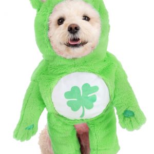 Good Luck Bear Care Bears Dog Costume