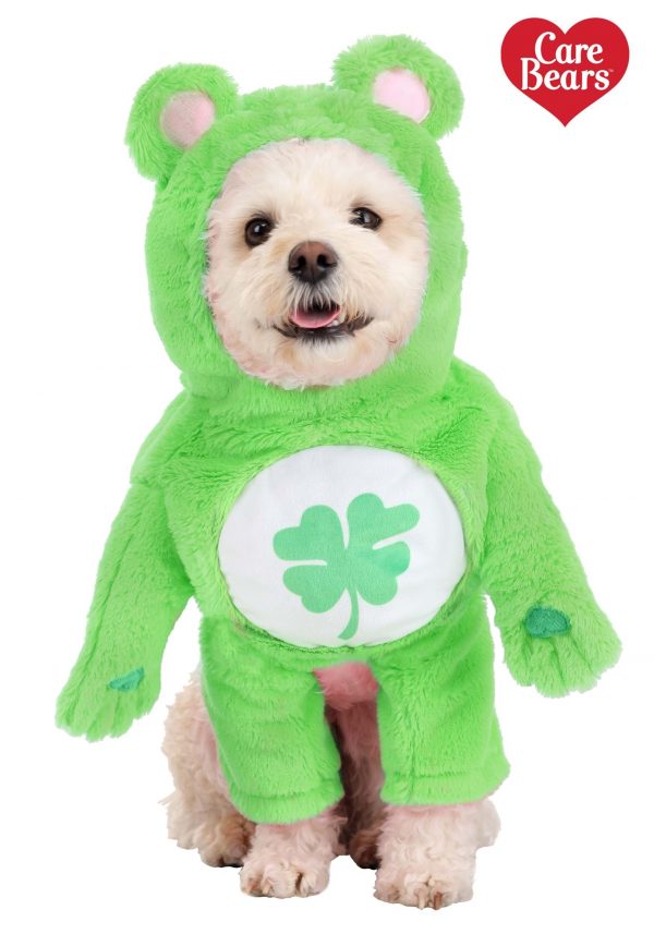 Good Luck Bear Care Bears Dog Costume