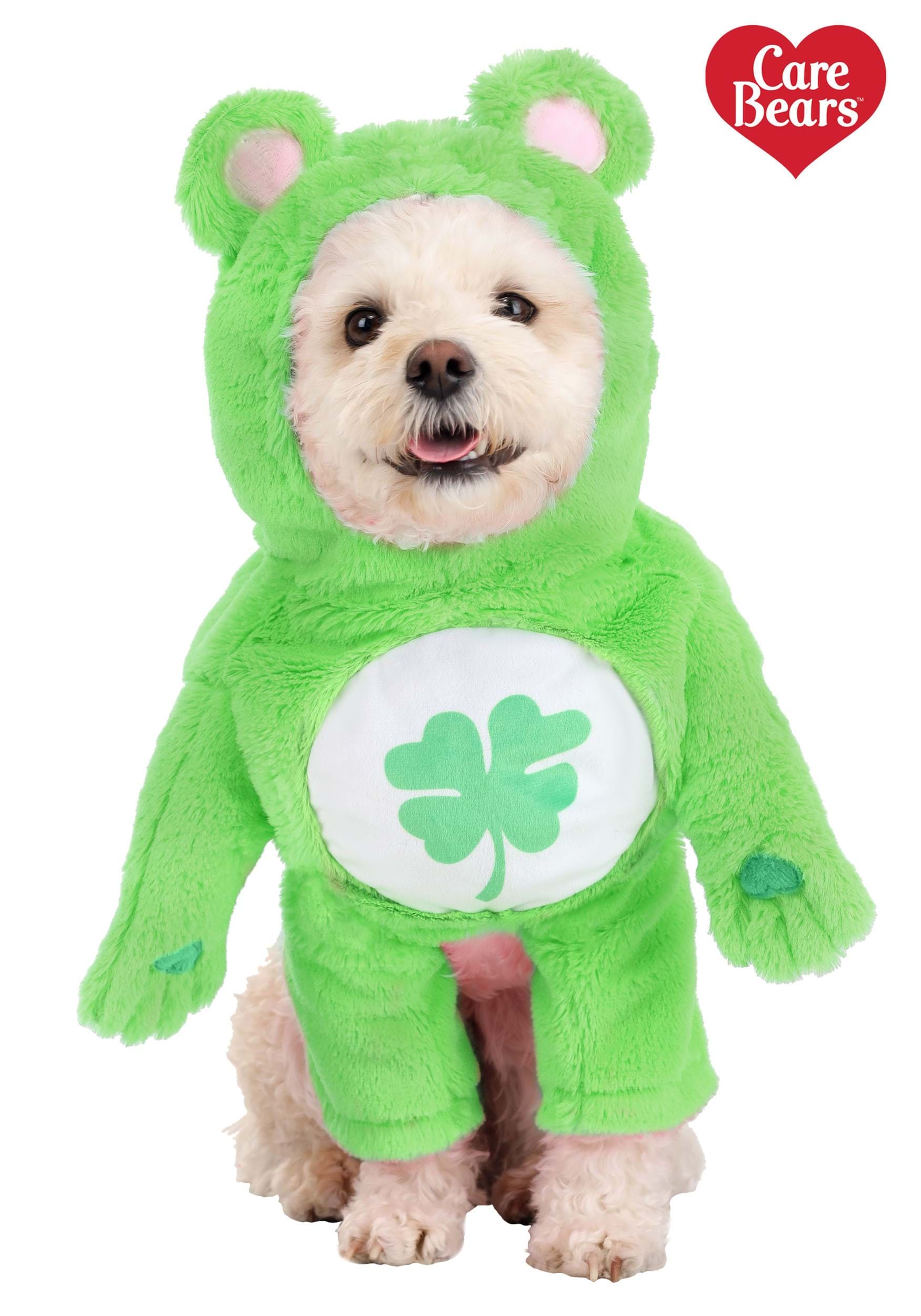 Good Luck Bear Care Bears Dog Costume