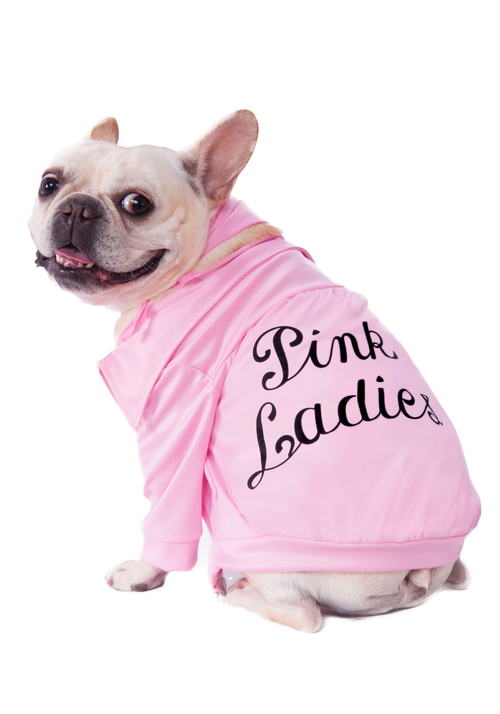 Grease Pink Ladies Coat Pet Costume