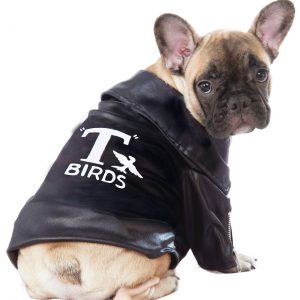 Grease T-Bird Jacket Pet Costume