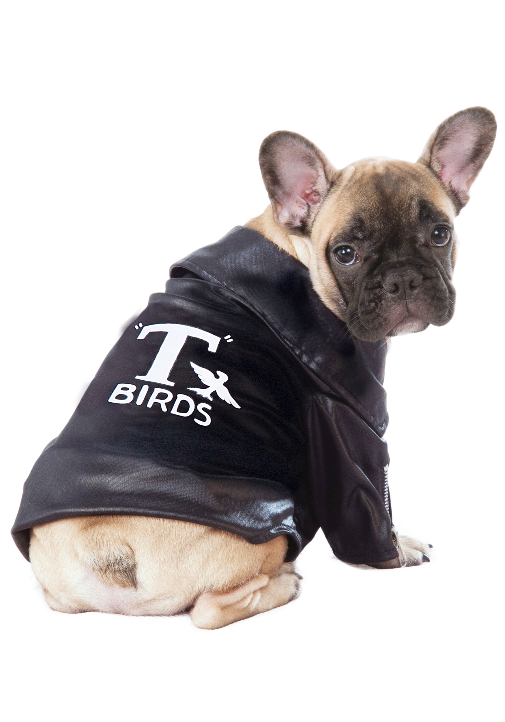 Grease T-Bird Jacket Pet Costume