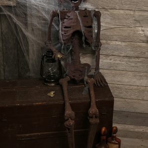 Hanging Rotted Skeleton Halloween Decoration