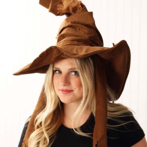 Harry Potter Sorting Costume Hat