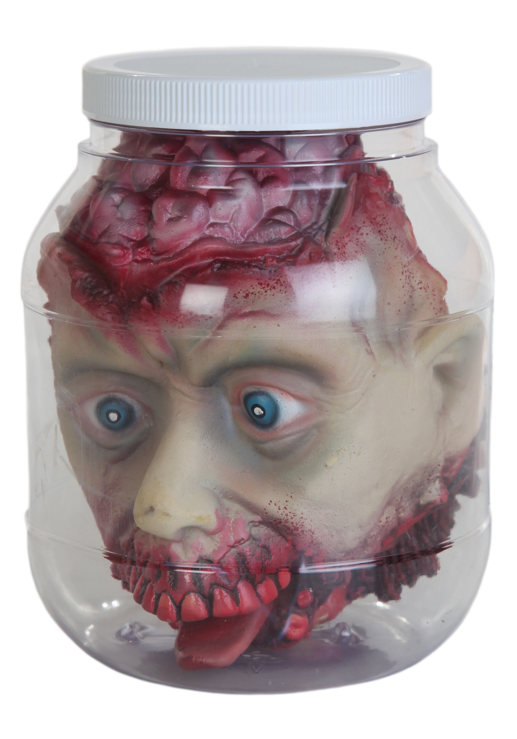 Head in a Jar Prop Halloween Decoration