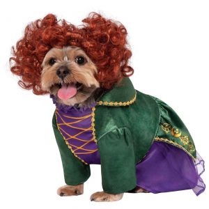 Hocus Pocus Winifred Sanderson Dog Costume