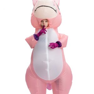 Inflatable Kids Pink Unicorn Costume