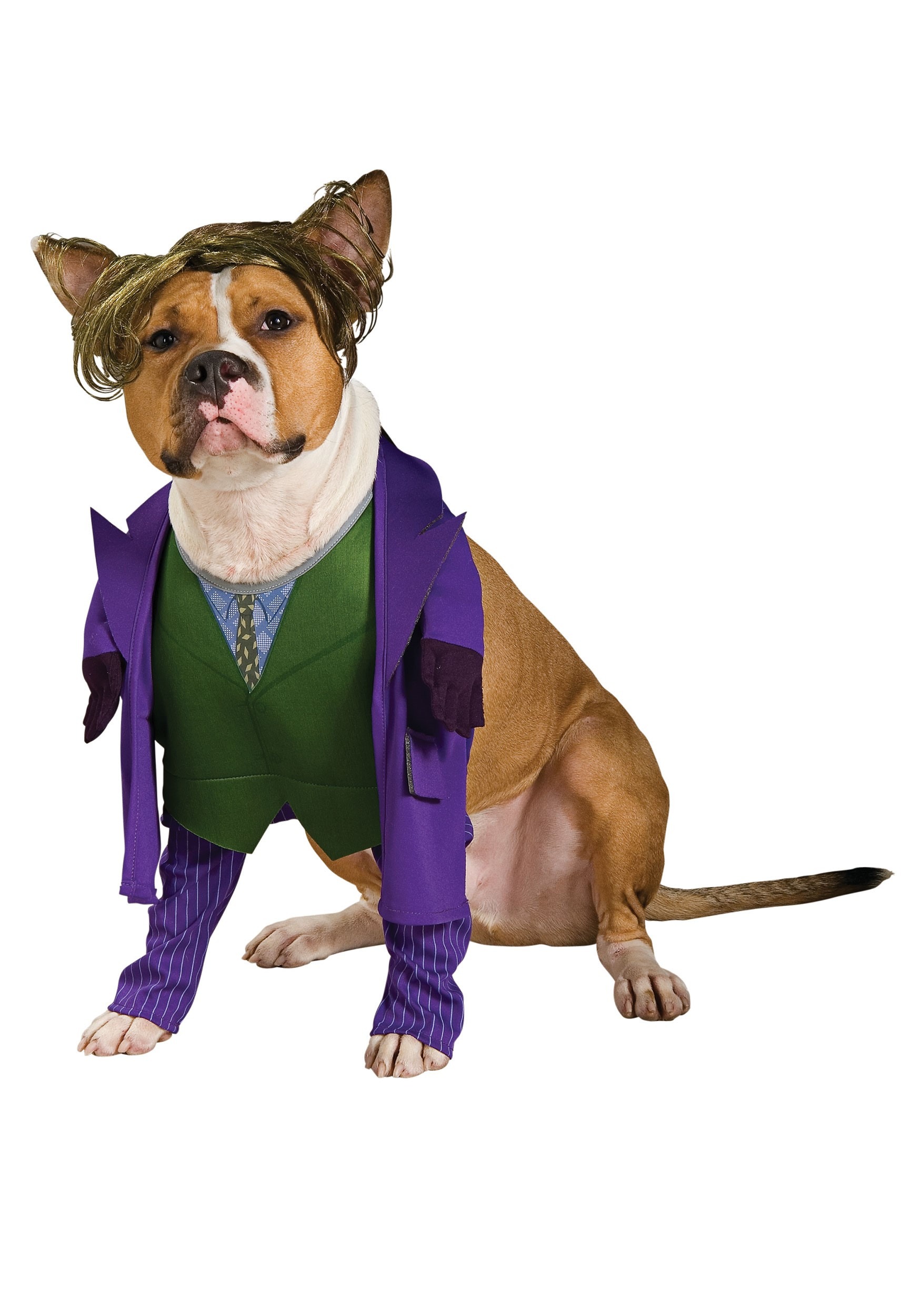 Joker Costume For Pets