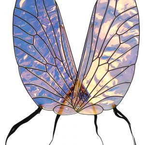Kid's Holographic Bee Wings