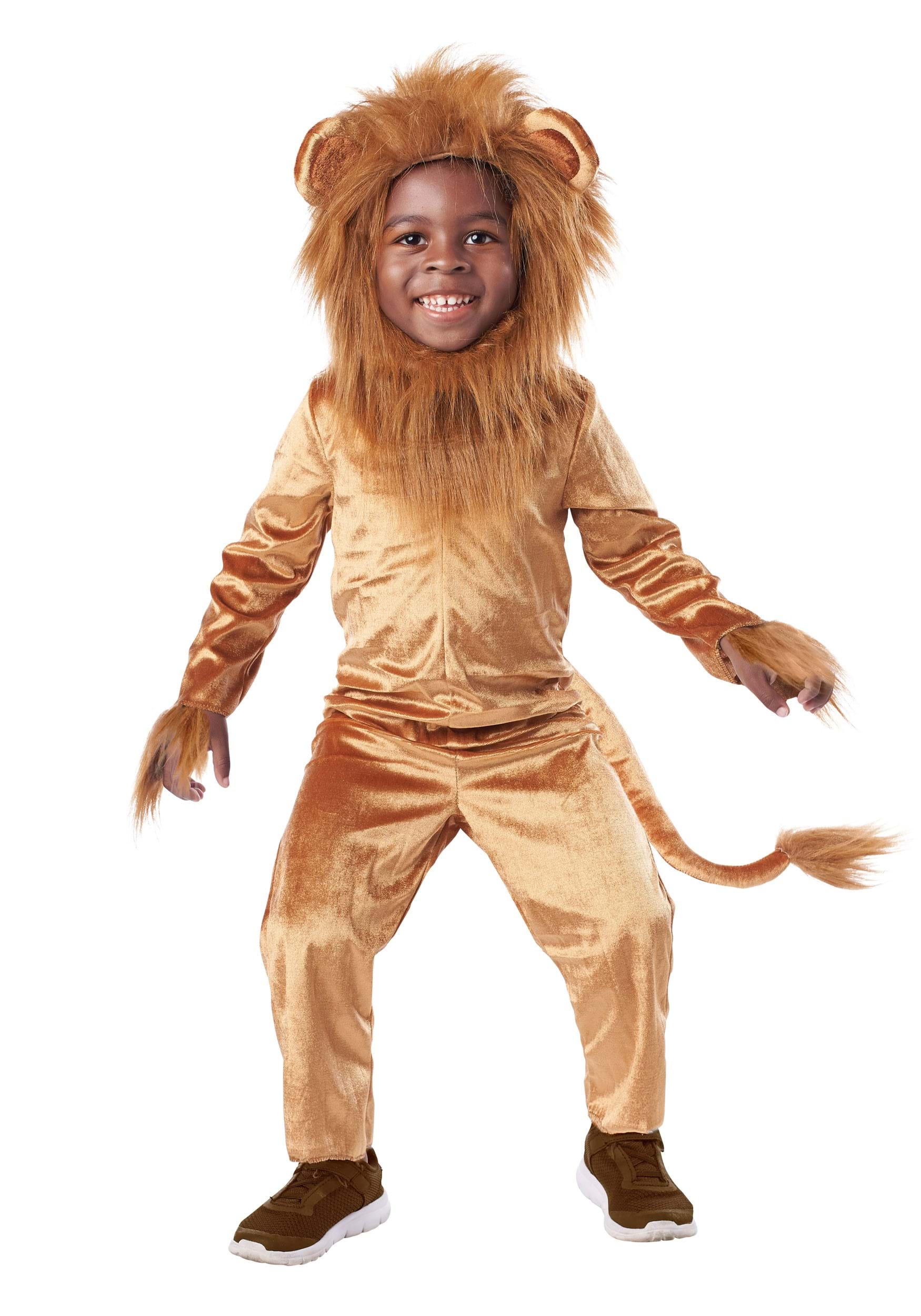 Kid’s Proud Lion Costume
