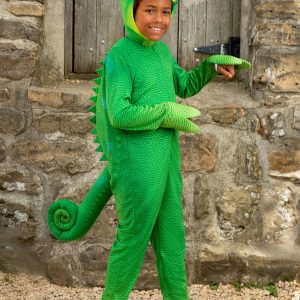 Kid's Tangled Pascal Costume
