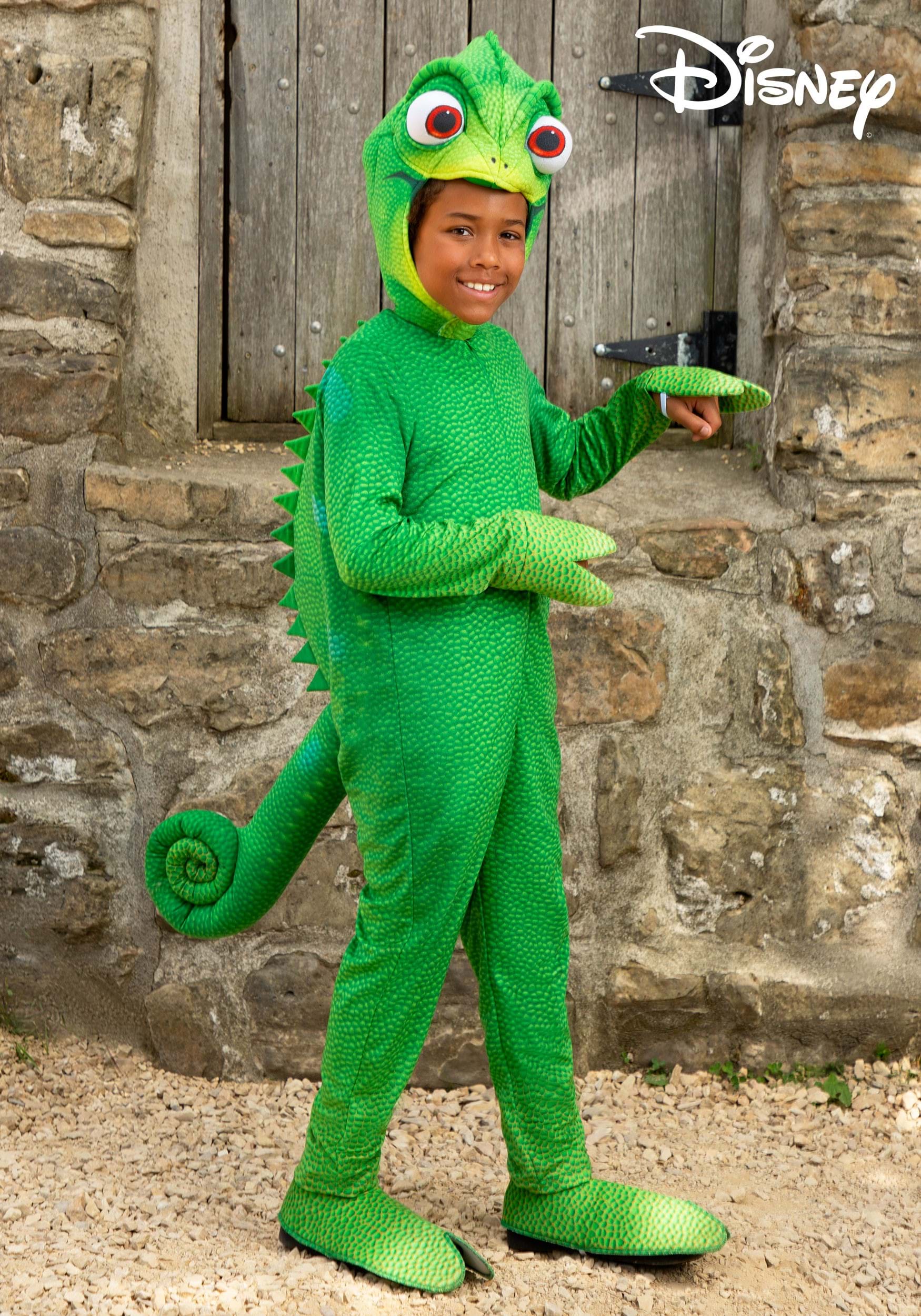 Kid’s Tangled Pascal Costume