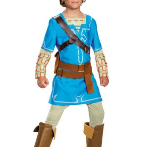 Legend of Zelda Breath of the Wild Link Deluxe Boys Costume