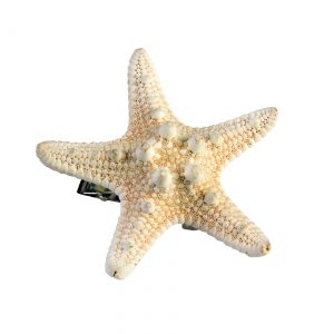 Mermaid Starfish Hairclip