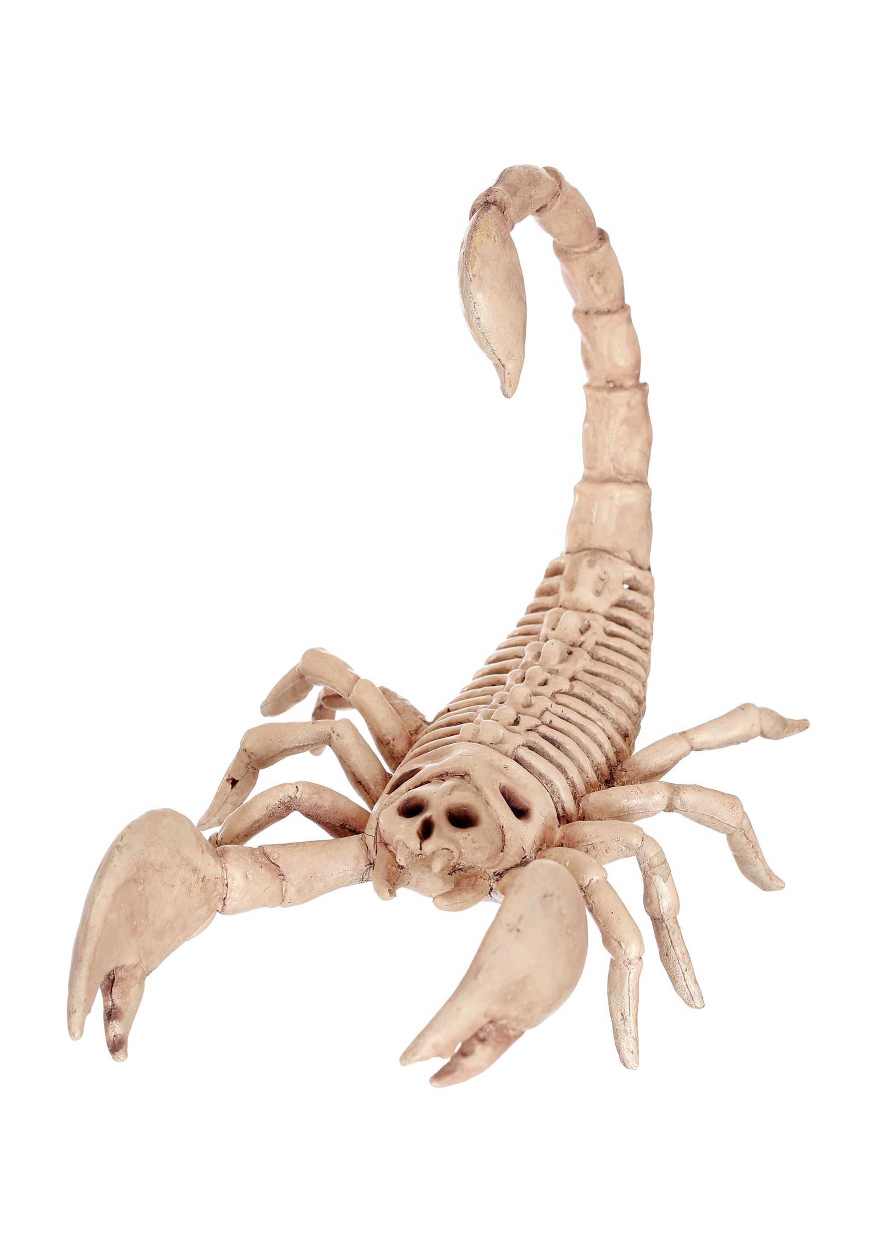 Mini Skeleton Scorpion Halloween Decoration