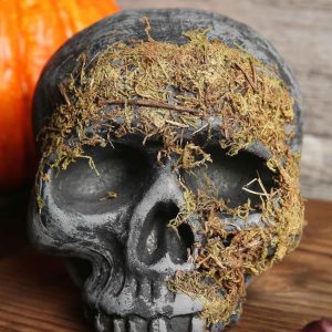 Moss Covered Skull Decoration