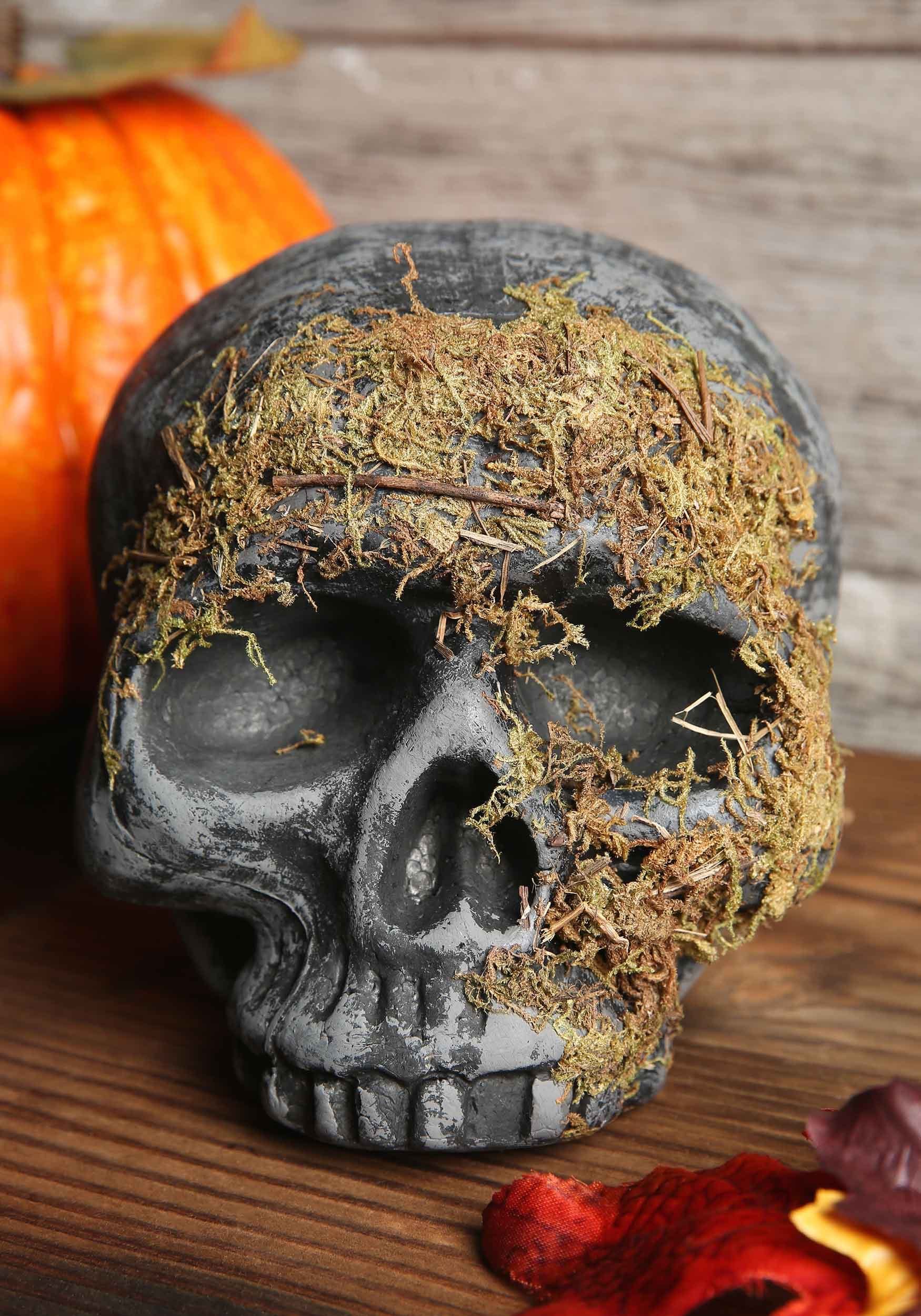 Moss Covered Skull Decoration