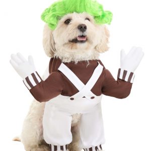 Oompa Loompa Dog Costume