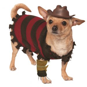 Pet Costume Freddy Krueger