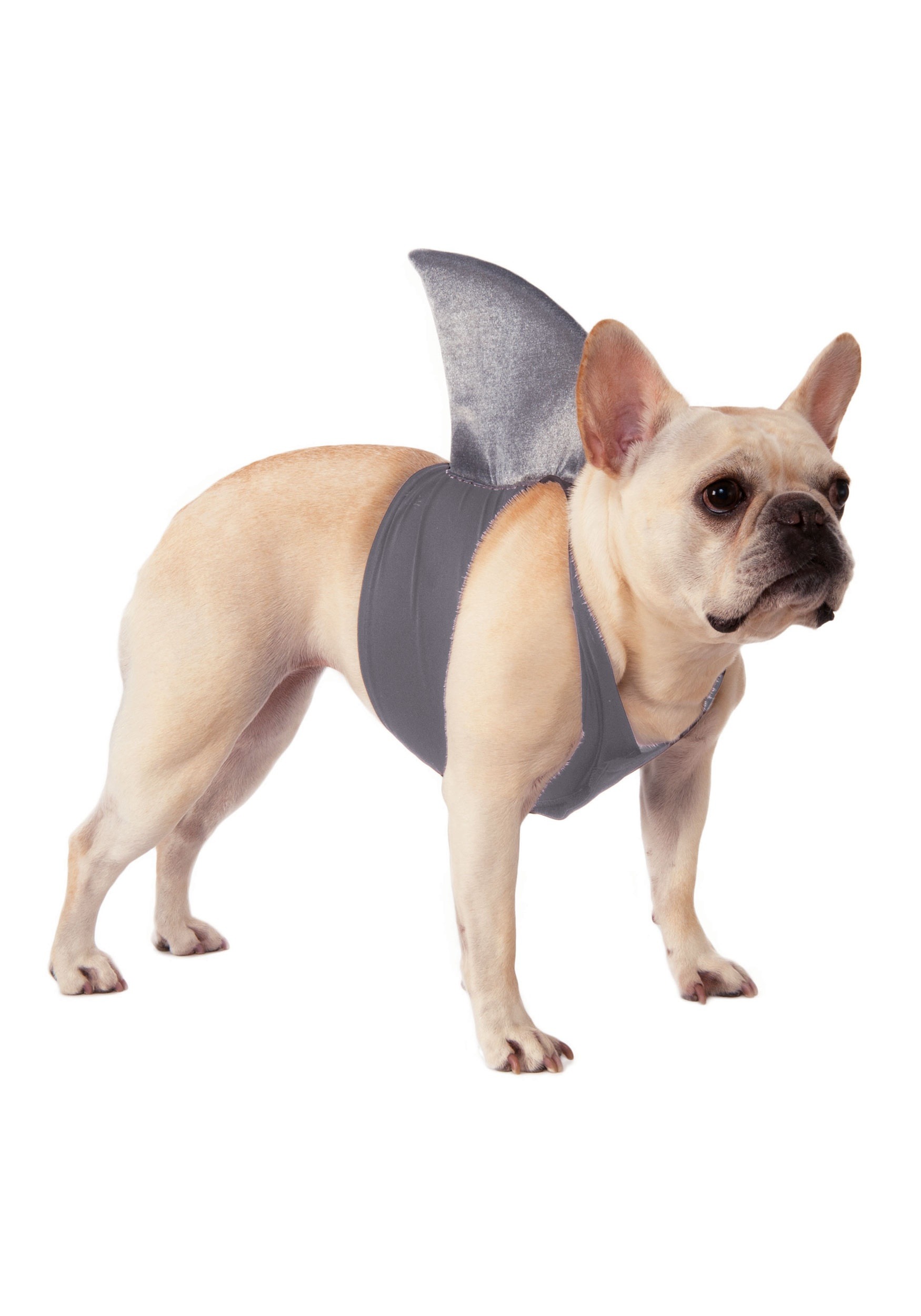 Pet Shark Fin Costume