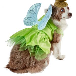 Peter Pan Tinker Bell  Dog Costume