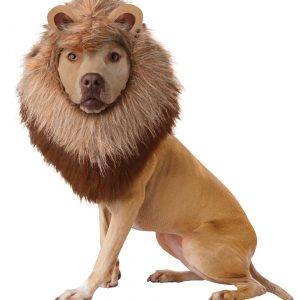 Pet's Lion Costume