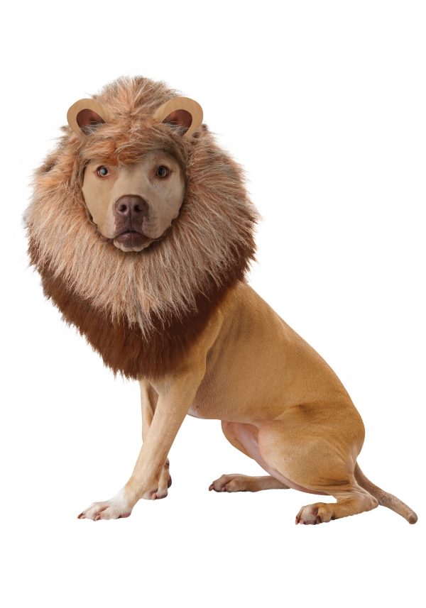 Pet's Lion Costume