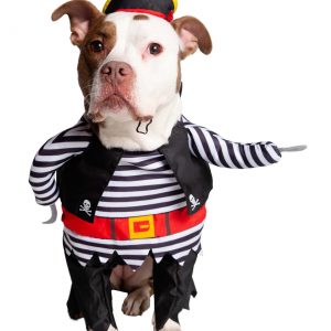 Pirate Costume for Pets