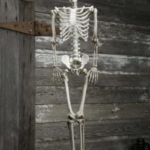 Plastic Realistic Skeleton Halloween Decoration