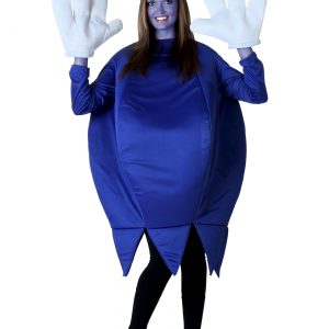 Plus Size Blueberry Costume
