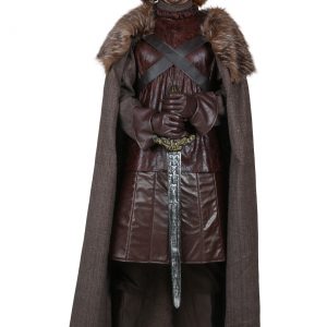 Plus Size Northern King Costume for Men