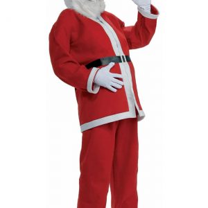Plus Size Simply Santa Costume