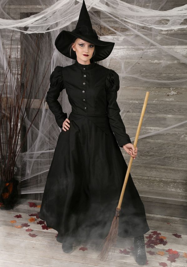 Plus Size Witch Costume for Women