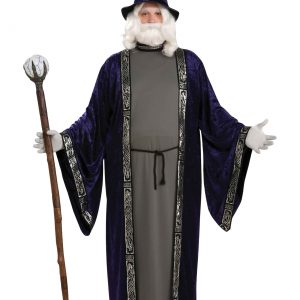 Plus Size Wizard Costume for Men