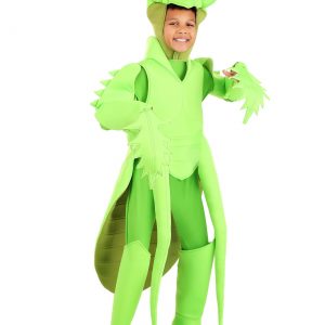 Praying Mantis Kid's Costume